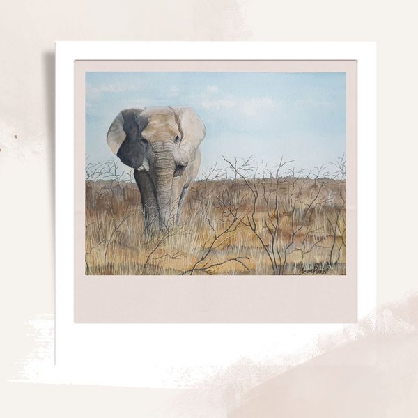 Tirage fine art de l'aquarelle "L'éléphant d'Afrique"